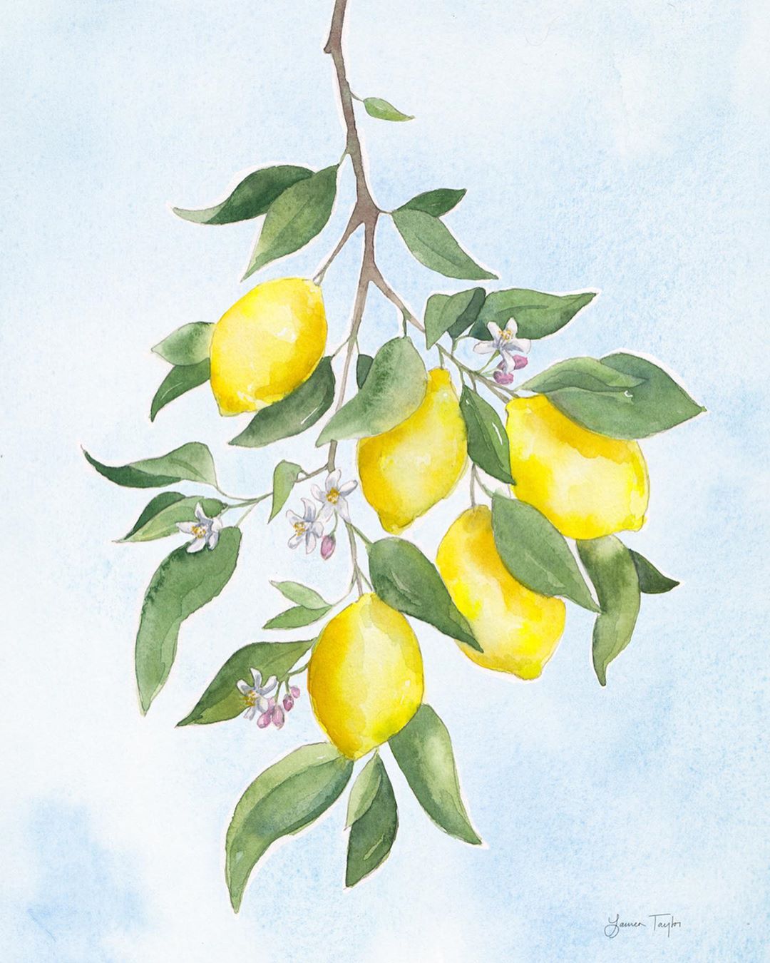 watercolor print lemons